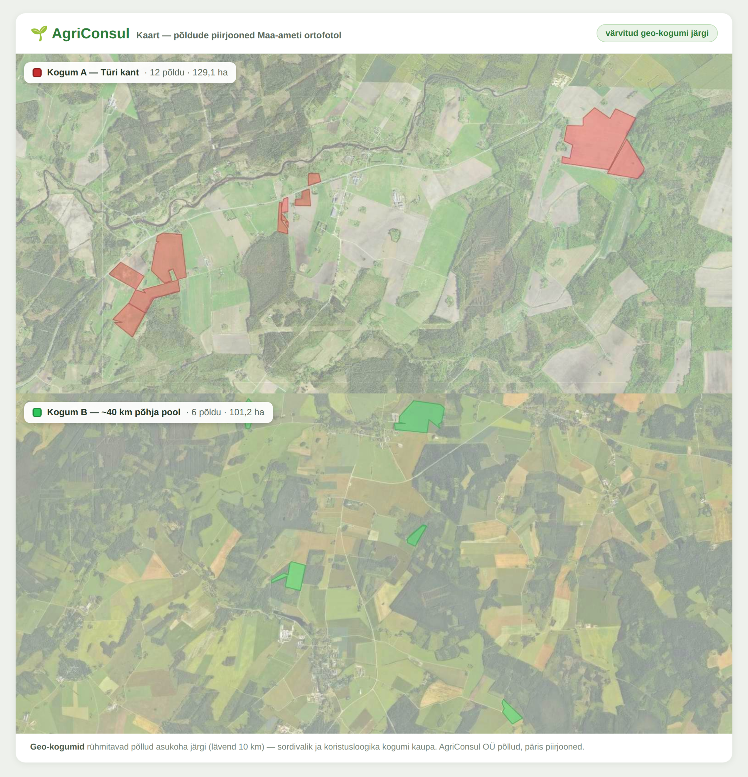 Taskunõustaja: planeerimisrakendus, mis koostab plaani ise