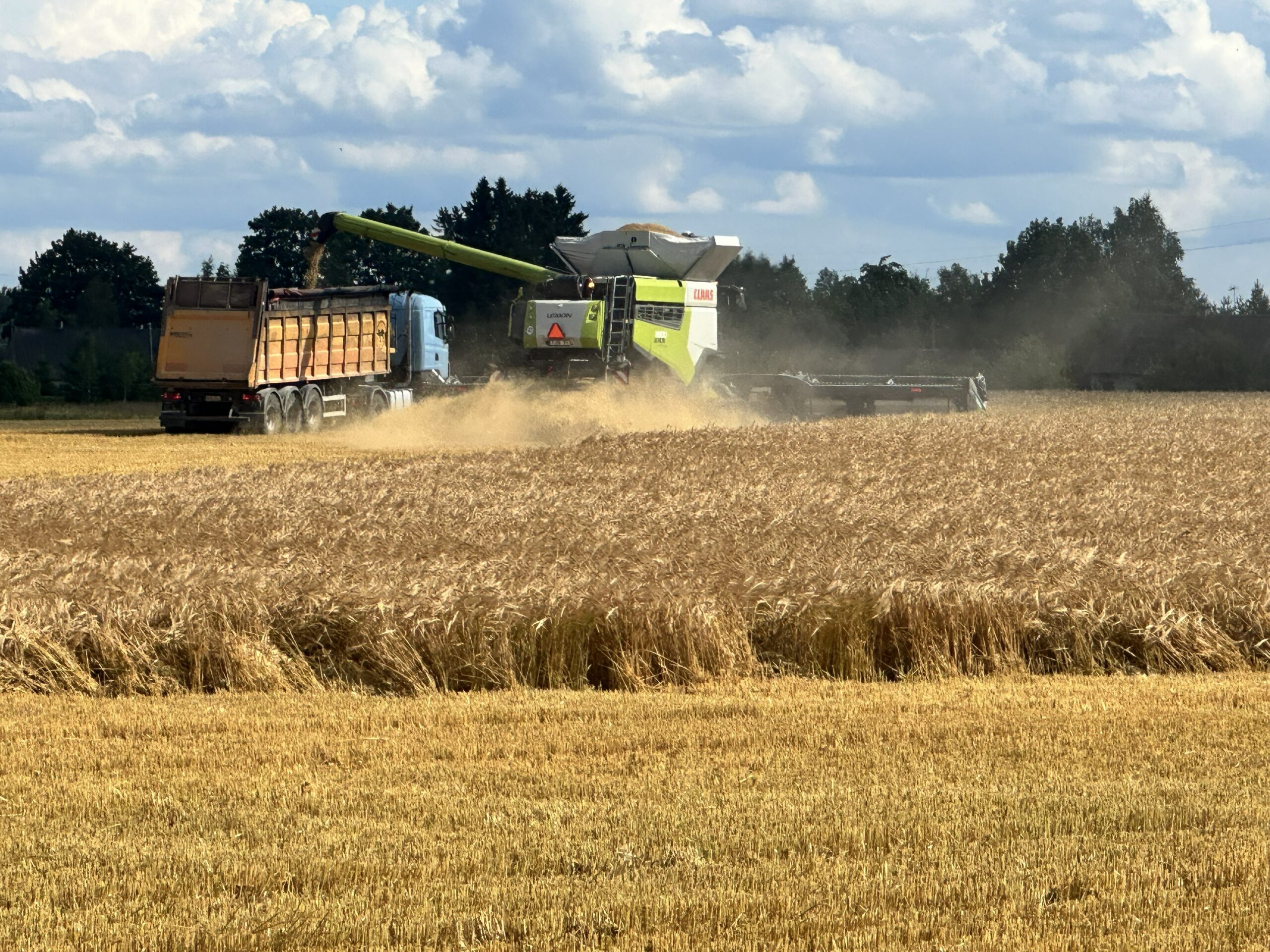 Own combine harvester: how large an area justifies the investment?